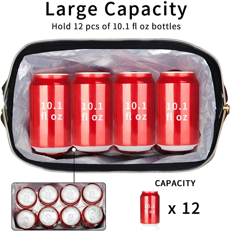 12 Pack 6 Pack Insulated Cooler Bag For Breast Milk Lunch Daily 11x6x10